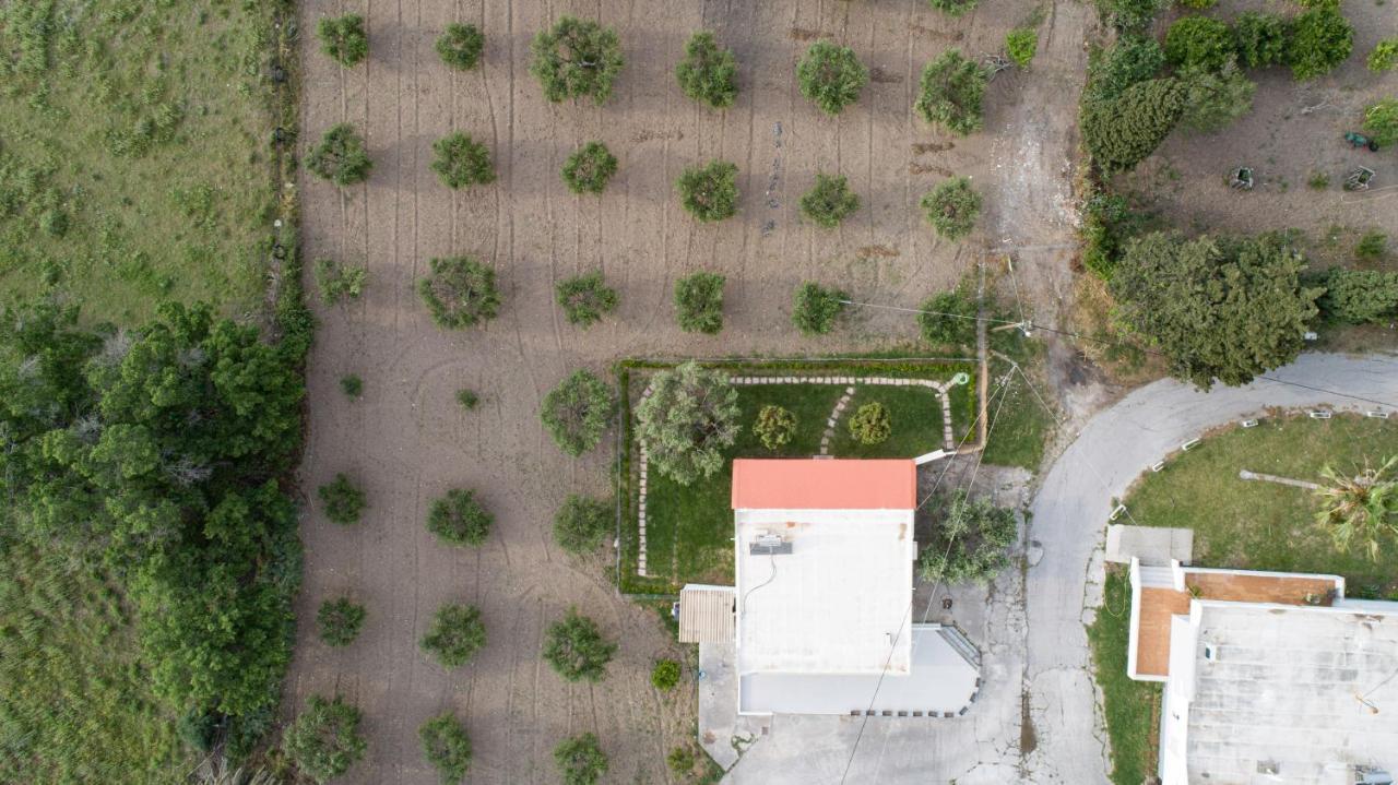 Elia Small Paradise Kosz Kültér fotó